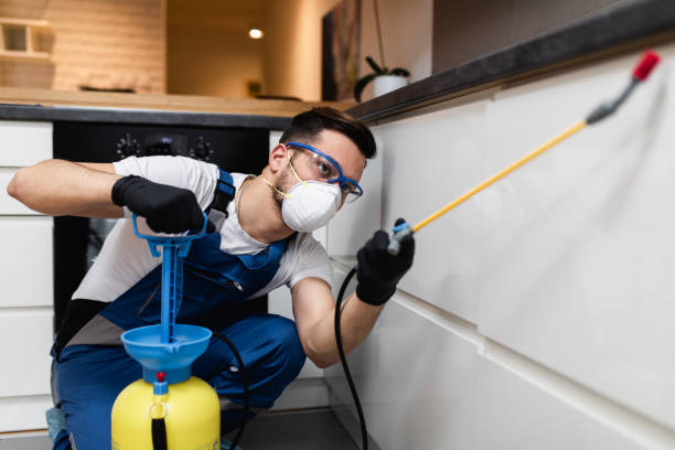 Best Best Pest Control Companies  in Omro, WI