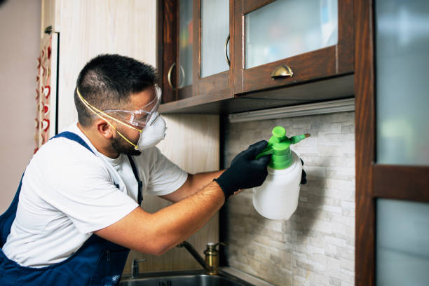 Best Pest Control for Businesses  in Omro, WI