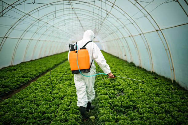 Pest Control Cost in Omro, WI