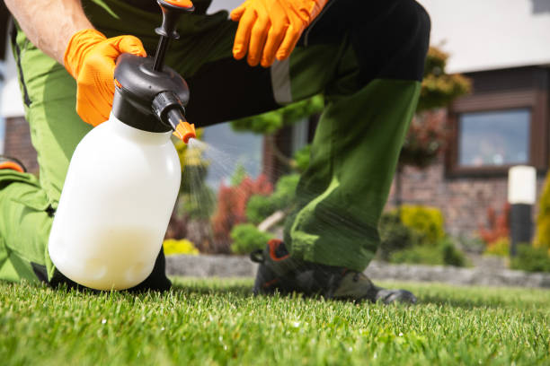 Best Ant Control Services  in Omro, WI