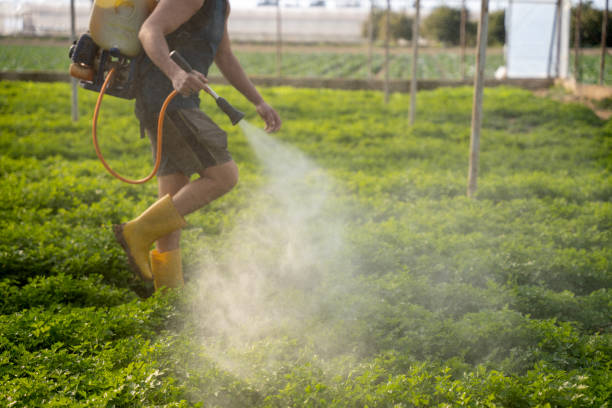 Best Pest Control Near Me  in Omro, WI