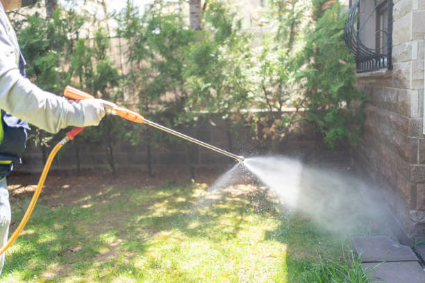 Best Best Pest Control Companies  in Omro, WI
