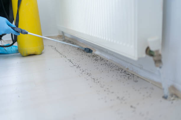 Best Emergency Pest Control  in Omro, WI