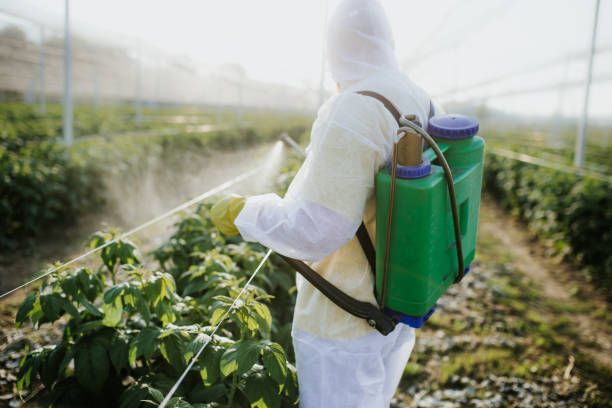 Best Best Pest Control Near Me  in Omro, WI